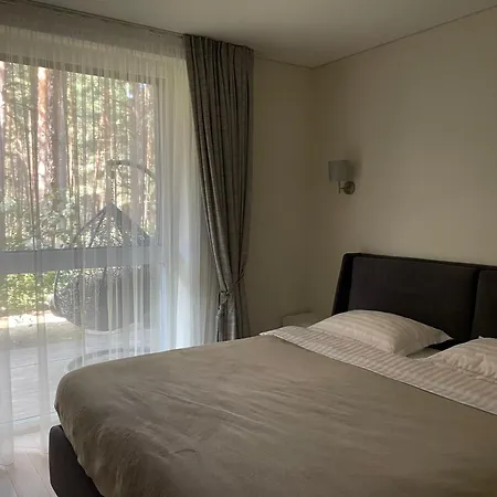 Pine Forest Escape At Vanagupes Parkas *