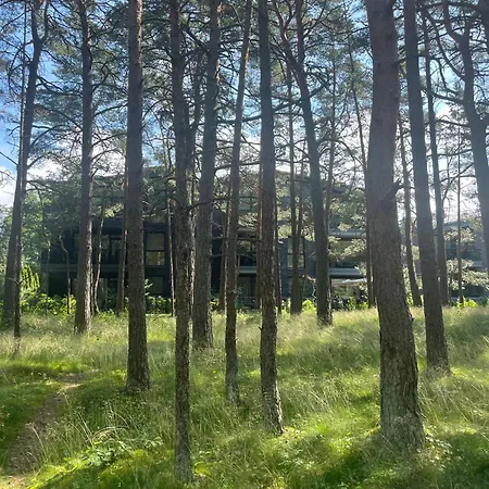 Apartment Pine Forest Escape At Vanagupes Parkas